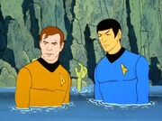 Kirk and Spock wet