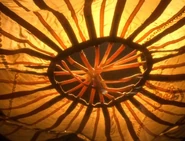 Lights sack close up.jpg (156 KB) Close-up