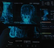 Kalara's anatomy, visible in universal translator scans behind Paris and James T. Kirk