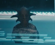 Ckaptir representative.jpg (26 KB) Ckaptir delegate DIS: "...But to Connect" (uncredited)