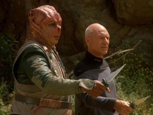  y  luchando hombro con hombro