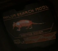 Phylum search mode - Dasypus novem (Armadillo).jpg (14 KB) Armadillo Dasypus novem