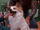 Simon (dog)