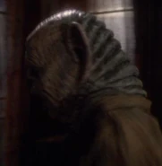 Yridian chez sandrine patron.jpg (18 KB) Yridian bar patron VOY: "Non Sequitur" (uncredited)