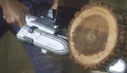 Chainsaw cutting alvera tree trunk