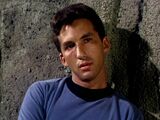 Michael Zaslow