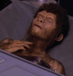 Nurse Alyssa Ogawa turned into an ape.
