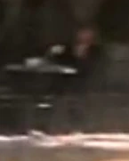 French citizen 13.jpg (3 KB)