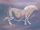 Second Chinese horse