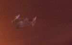 Prometheus class at Procyon V
