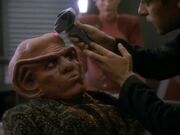 Quark treated with dermal regenerator