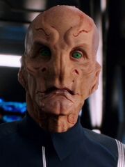 Saru 2256.jpg