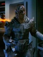 …als Mitglied des Schwarms…