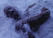 Klingon prisoner frozen.jpg (301 KB) A frozen Klingon prisoner