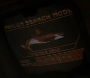 Phylum search mode - Orcinus orca.jpg (14 KB) Orcinus orca