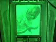 ein Borg in der Phase eines Fötus in der Reifungskammer