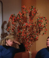 A red/green tree in the guest quarters (TNG: "The Neutral Zone")