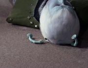 False Andorian antenna