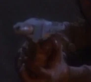 Nol-Ennis energy weapon 2.jpg (6 KB) An energy pistol