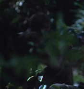 Played by Tulsy Ball