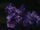 Cardassian dark matter nebula.jpg
