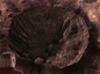 Crater, Warhead