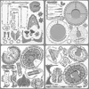 Fascination Metal Earth USS Ent + USS Ent-D sheets