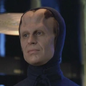 Tomin, a Kadi male (2375)