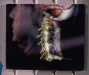 Parasitic being attached to Quinn.jpg (432 KB) A being attached to Gregory Quinn