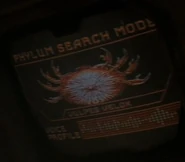 Phylum search mode - Vulpes velox (Crab).jpg (14 KB) Crab (reversed image) Vulpes velox