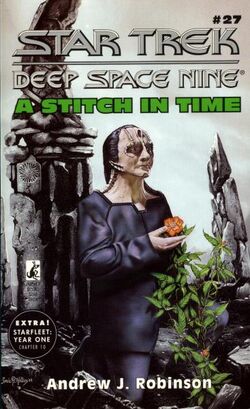A Stitch in Time audiobook
