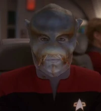 Hoya, Benzytka (2373)