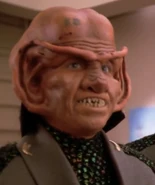 Qol TNG: "The Perfect Mate"