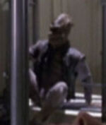 Reptohumanoid fighter