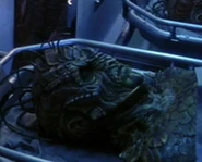 Damron in morgue.jpg (17 KB) Damron ENT: "The Forgotten" (uncredited)