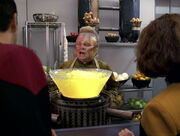 Neelix sunburned