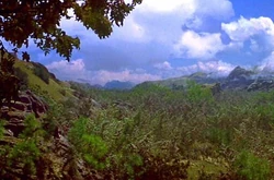 VeridianIIISurface2371