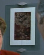 A painting in Janeway's quarters (VOY: "Prime Factors")