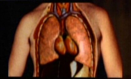 Tom Paris internal scan