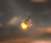Firefly