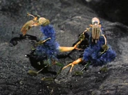 Sylvia and Korob in Ornithoid form.jpg (67 KB) Ornithoid life form Found on Pyris VII