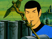 Symbol and Spock