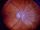 James T. Kirk's retina.jpg
