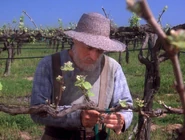 Jean-Luc Picard dans le vignoble en 2395