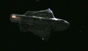 Flaxian ship