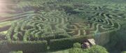 Hedge maze