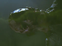 A mutiliated corpse Re-used from Event Horizon