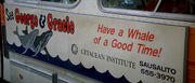 Cetacean Institute bus ad