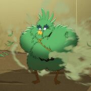 Migleemo fluffing his down