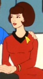 Enterprise operations lieutenant 3